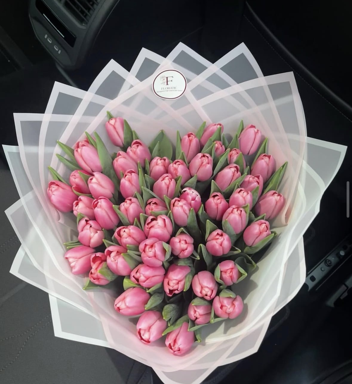Tulipe Rose